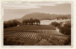Temecula Winery History